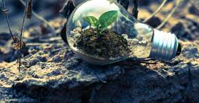 Foto: (Singkham/Pexels)