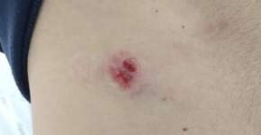 Foto: (divulgação/Polícia Militar)