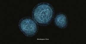 Foto: (Getty Images/iStockphoto)