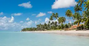 Foto: (wagnerokasaki/iStock)