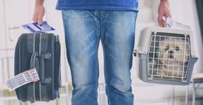 Foto: (gchutka/istock)