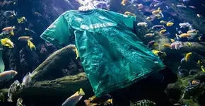 Real Bétis lança uniforme feito de algas marinhas e fibras de plásticos retiradas do oceano