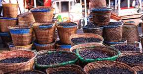 Foto: (Imagem sem texto alternativo disponivel ID [1868609])