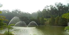 Sesc anuncia entrada gratuita para as unidades Itaquera e Interlagos