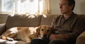 Foto: (Imagem sem texto alternativo disponivel ID [2682397])