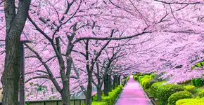 Foto: (Divulgação/Quickly Travel)