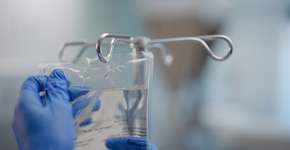 Foto: (Bevan Goldswain/istock)