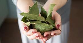 Foto: (iSTock/Michele_Caldarisi)