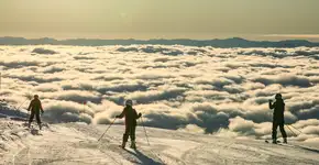 Foto: (Divulgação)