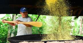 Foto: (Imagem sem texto alternativo disponivel ID [896081])