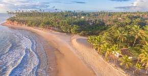 Foto: (Divulgação)