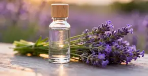 O óleo natural que desliga o modo acelerado do seu cérebro