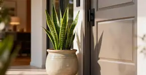 Onde colocar uma espada de São Jorge para atrair fortuna em 2026 segundo o Feng Shui