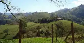 Dori Caymmi, Nelson Ayres e Renato Braz com Orquestra