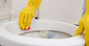 Foto: (Imagem sem texto alternativo disponivel ID [1540871])