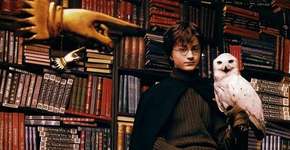 Foto: (Imagem sem texto alternativo disponivel ID [800014])