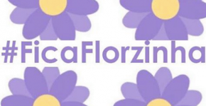 Queremos a florzinha para sempre, Facebook!