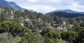 Foto: (Sidney de Almeida/iStock)