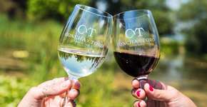 Ama vinhos? Descubra 9 experiências imperdíveis dentro e fora do Brasil