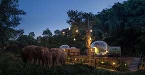 Foto: (Divulgação)