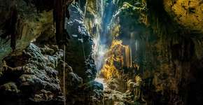 Foto: (Divulgação)