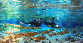 Bonito (MS) é destino ideal para viajar na baixa temporada