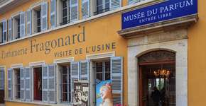 Foto: (SvetlanaSF/iStock)