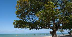 Foto: (Cacio Murilo/MTur)