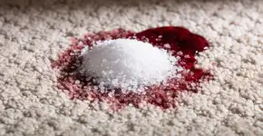 Foto: (Imagem sem texto alternativo disponivel ID [2720543])