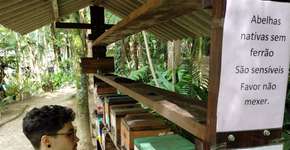 Foto: (Imagem sem texto alternativo disponivel ID [2251204])