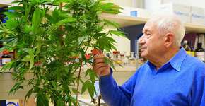 Foto: (Imagem sem texto alternativo disponivel ID [1869889])