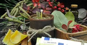 Foto: (Imagem sem texto alternativo disponivel ID [2671946])