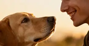 Foto: (Imagem sem texto alternativo disponivel ID [2668752])