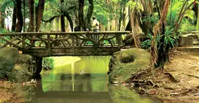 Parques e jardins no Rio de Janeiro para se conectar com a natureza