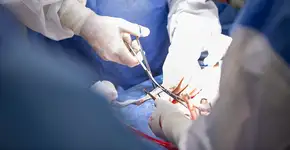 Universidade japonesa faz descoberta relacionada a como o autismo se desenvolve