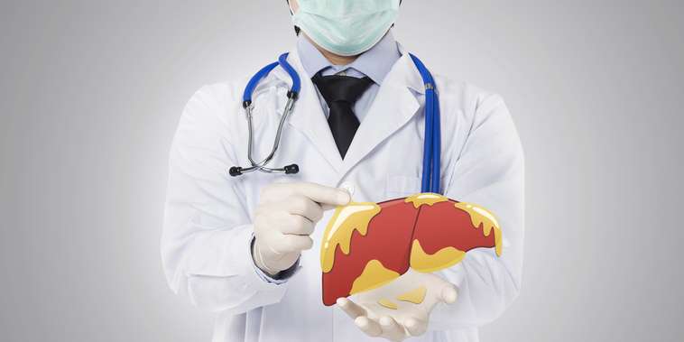 Featured main: Vitamina comum pode limpar gordura do fígado e surpreende cientistas em novo estudo