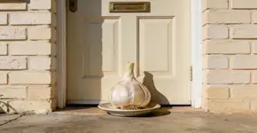 Foto: (Imagem sem texto alternativo disponivel ID [2703815])