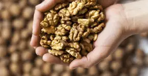 Consumir este alimento pode reduzir em 12% o risco de demência, revela estudo