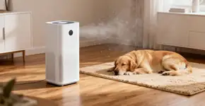 Foto: (Imagem sem texto alternativo disponivel ID [2670484])