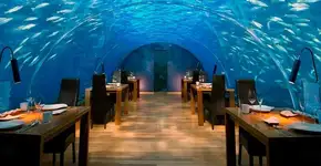 Foto: (Imagem sem texto alternativo disponivel ID [874245])