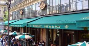 Foto: (Imagem sem texto alternativo disponivel ID [782799])