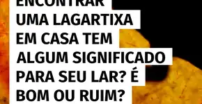 Uma lagartixa em casa tem algum significado para seu lar?