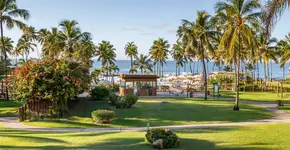 Foto: (Divulgação)