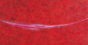 Instituto Tomie Ohtake: O Corpo Denso da Imagem