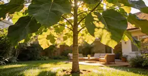 Foto: (Imagem sem texto alternativo disponivel ID [2679468])