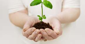 Prêmio Cidadão Sustentável 2013