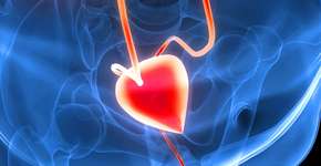 Foto: (iStock/magicmine)