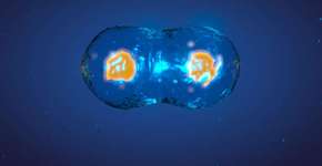 Foto: (Getty Images/iStockphoto)