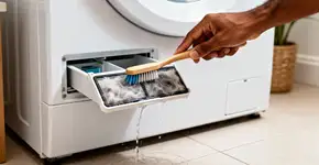 Foto: (Imagem sem texto alternativo disponivel ID [2669754])