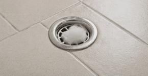 Foto: (Imagem sem texto alternativo disponivel ID [2749046])